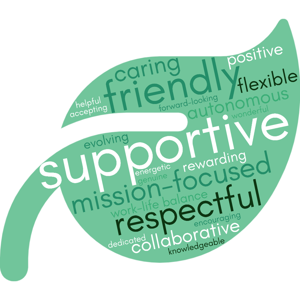 Word cloud from 2026 staff survey describing agency culture