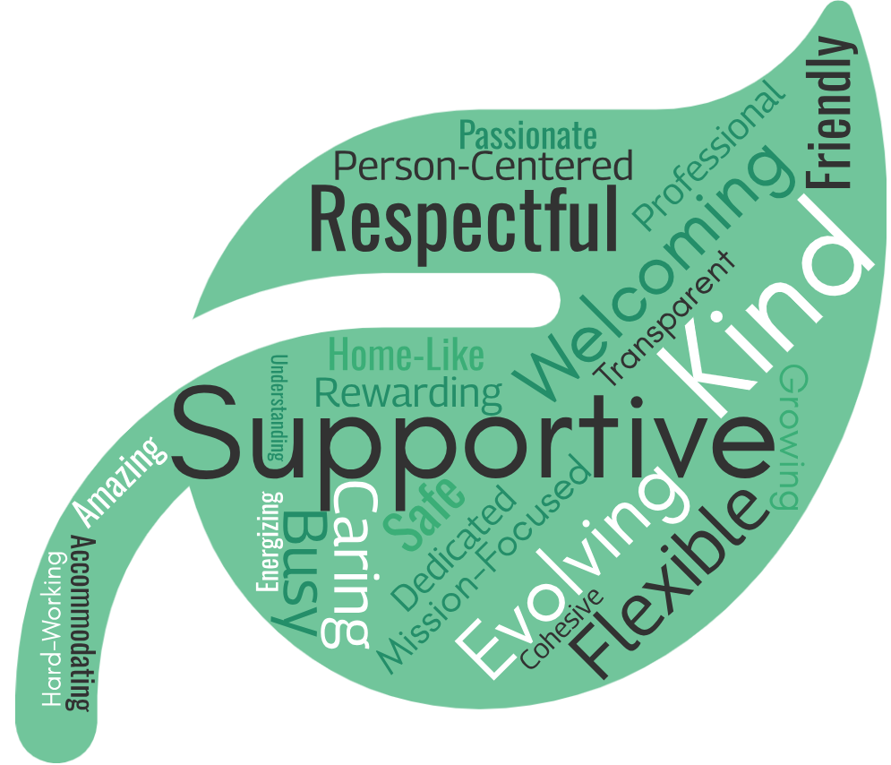 Word cloud from 2024 staff survey describing agency culture